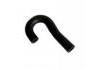 Radiator Hose:19508-P3F-000