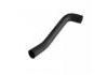 Radiator Hose:12261-0C020