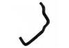 Radiator Hose:16261-BZ010