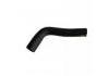 Radiator Hose:16267-BZ010