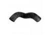 Radiator Hose:MB-390037