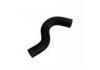 Radiator Hose:MB527561