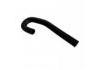 Radiator Hose:MB597986
