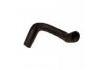 Radiator Hose:MR-239847