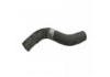 Radiator Hose:B546-15-186