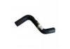 Durite de radiateur Radiator Hose:FS02-15-186