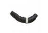 Radiator Hose:311958