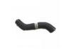 Radiator Hose:821657